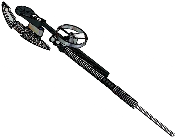 Datei:Stab der Protodermis.jpg