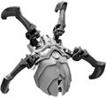 Silberne Totenkopfspinne, Set