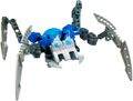 Eine Dolchspinne als Set