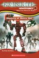 Das Cover von Mystery of Metru Nui
