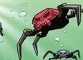 Rote Totenkopfspinne, Comic