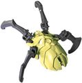 Grüne Totenkopfspinne, Set