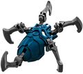 Blaue Totenkopfspinne mit Stachel